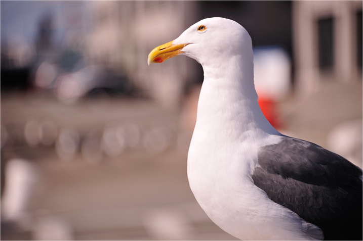 Keskittymiskehitys näyttää jatkuvan, mutta halutaanko sitä? – Monipuolista tietoa Suomen toteutuneesta ja ennakoitavissa olevasta aluekehityksestä