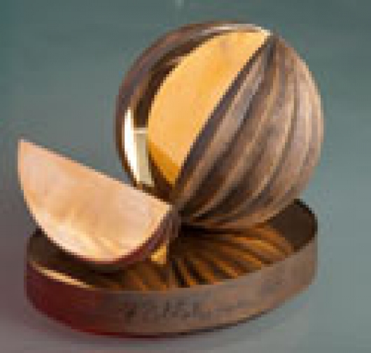 Ehdota Arjen turvaaja-palkinnon saajaa 31.10.2013 mennessä