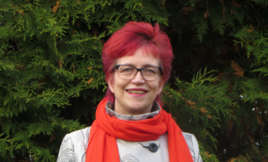 Kuopio etsii säästöjä ja parempaa palvelua hybridiammatteista