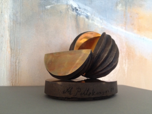 Ehdota vuoden 2016 Arjen turvaajaa