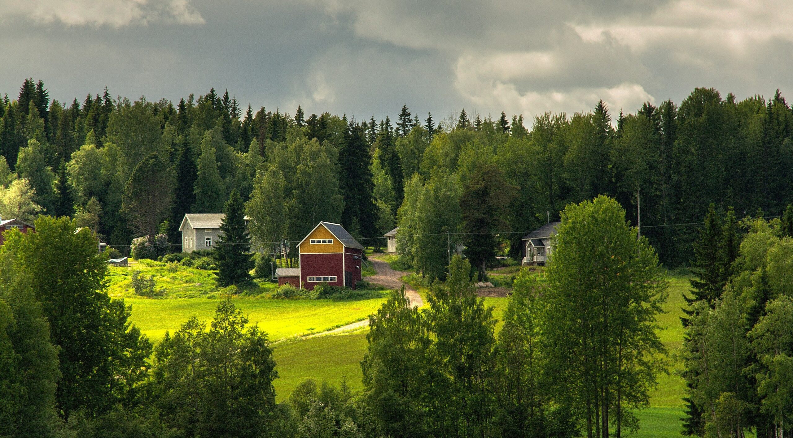 TIEDOTE: Kaupungistumiskehityksen muutoksen syitä, kehityskulkuja ja ajankohtaisia haasteita